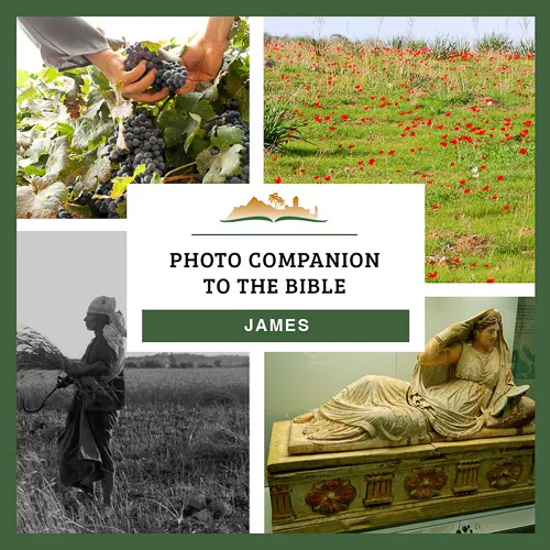 Photo Companion to James Photo Companion to James